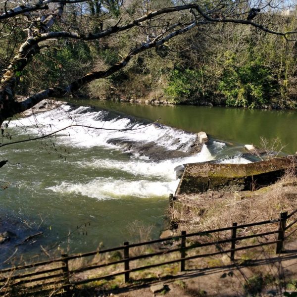 River Torridge near Torrington