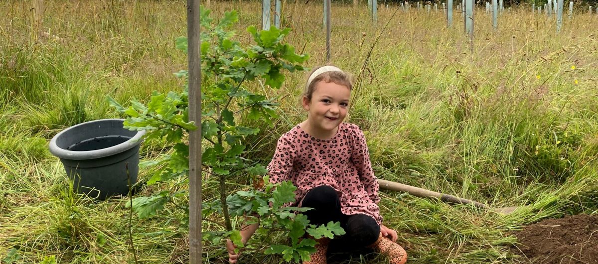 young girl plants trees from acorns found on the Tarka Trail