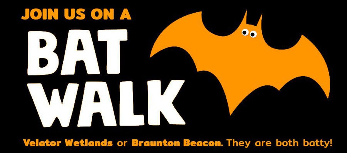 Traka Trail Bat Walk